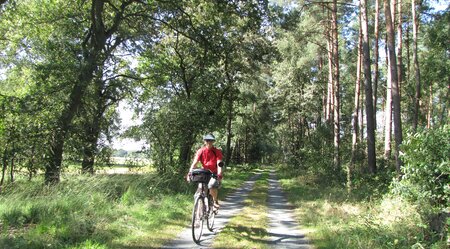 Lüneburger Heide Radfahrerin auf Waldweg