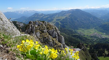 Bayerns Alpen & Seen 4 Tage