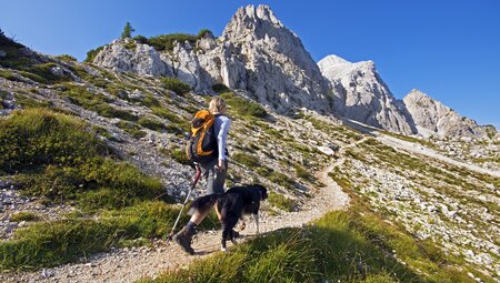Alpenüberquerung Garmisch-Sterzing mit Hund
