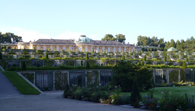 Schloss Sanssouci mit Garten