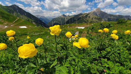 Alpenüberquerung Oberstdorf - Meran mit Hotelkomfort