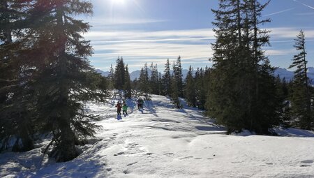 Schneeschuhwandern im alpinen Gelände - Einsteigerkurs im Allgäu