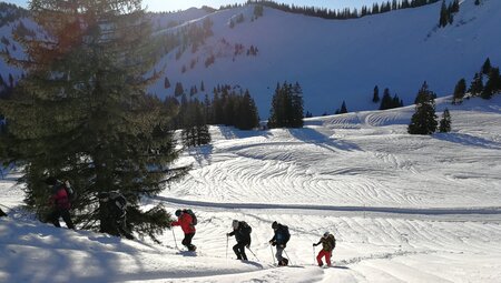 Schneeschuhwandern im alpinen Gelände - Einsteigerkurs im Allgäu