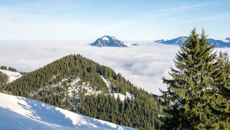 Schneeschuhwandern im alpinen Gelände - Einsteigerkurs im Allgäu