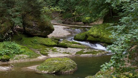 Das Allgäu naturnah entdecken - von sanften Wiesen zu markanten Gipfeln