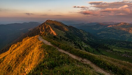 Das Allgäu naturnah entdecken - von sanften Wiesen zu markanten Gipfeln
