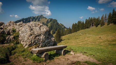Das Allgäu naturnah entdecken - von sanften Wiesen zu markanten Gipfeln