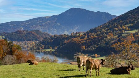 Füssen - die romantische Seele Bayerns gemütlich erwandern