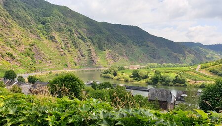 Lavakegel, Kraterseen und Geysire - Wanderungen in der Vulkaneifel
