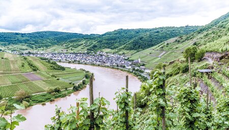 Lavakegel, Kraterseen und Geysire - Wanderungen in der Vulkaneifel