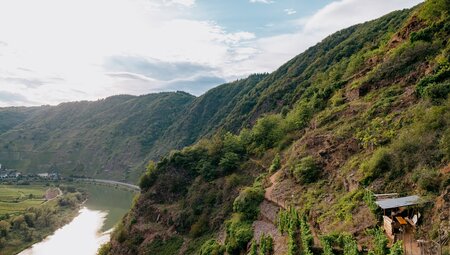 Lavakegel, Kraterseen und Geysire - Wanderungen in der Vulkaneifel