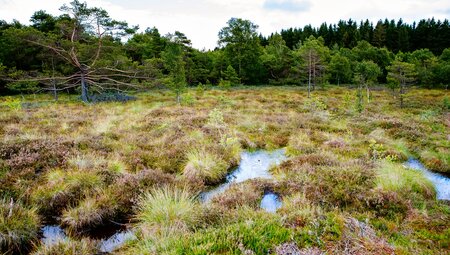 Die Rhön - das Land der offenen Fernen gemütlich erwandern