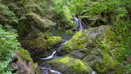Die schönsten Wanderungen im Schwarzwald - Gipfel, Seen und Schluchten