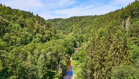Die schönsten Wanderungen im Schwarzwald - Gipfel. Seen und Schluchten