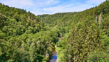 Die schönsten Wanderungen im Schwarzwald - Gipfel, Seen und Schluchten