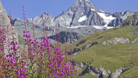 Alpenüberquerung vom Königssee zu den Drei Zinnen