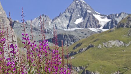 Alpenüberquerung vom Königssee zu den Drei Zinnen