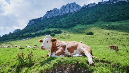 Bayern - Wandern rund um den Chiemsee