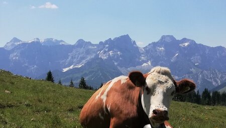Isarwinkel - die bayerische Bergwelt entdecken