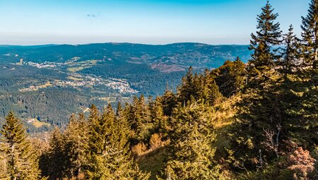 Deutschlands Wildnis - naturnah im Nationalpark Bayerischer Wald