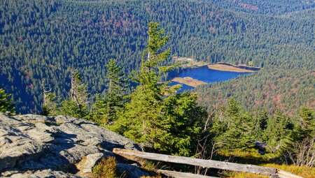 Deutschlands Wildnis - naturnah im Nationalpark Bayerischer Wald