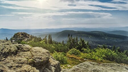 Deutschlands Wildnis - naturnah im Nationalpark Bayerischer Wald