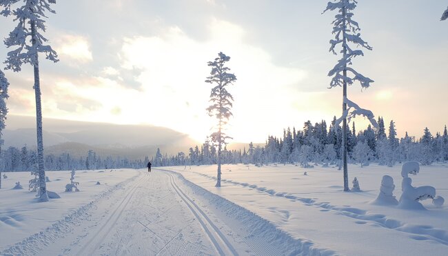 Loipe in Finnisch-Lappland