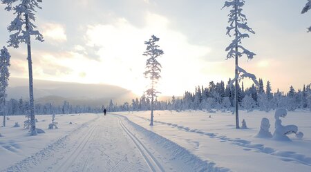 Loipe in Finnisch-Lappland