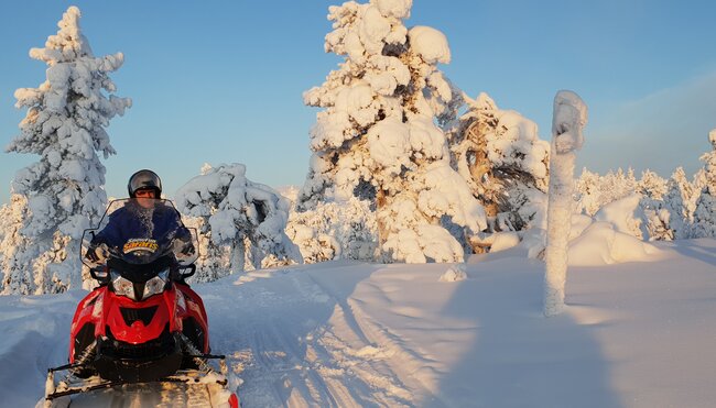 Winter pur erleben in Finnisch-Lappland