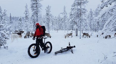 Fatbike