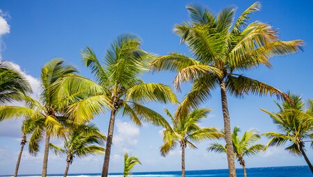 Die Highlights von La Réunion erwandern