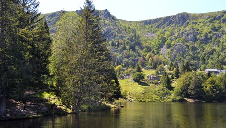 Das Elsass kulinarisch entdecken - Wandern zwischen Rhein und Vogesen