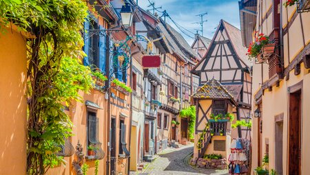 Das Elsass kulinarisch entdecken - Wandern zwischen Rhein und Vogesen