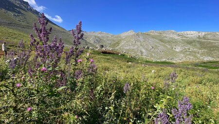 Wolftrail Griechenland