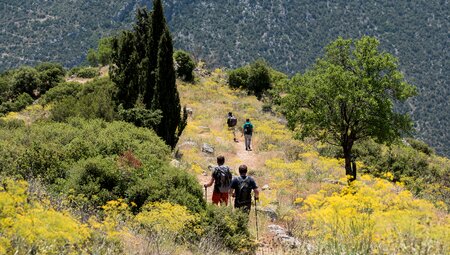 Wolftrail Griechenland