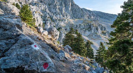 Wolftrail Griechenland