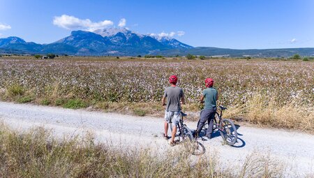 Der Delphi Trail - Mit dem E-Bike zum Orakel