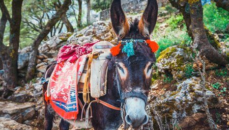 Kretas Highlights erwandern