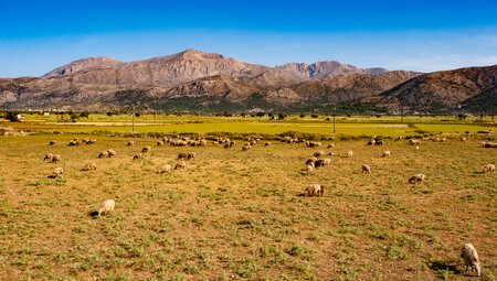Kretas Highlights erwandern