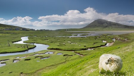 Äußere Hebriden Ceapabhal Isle of Harris