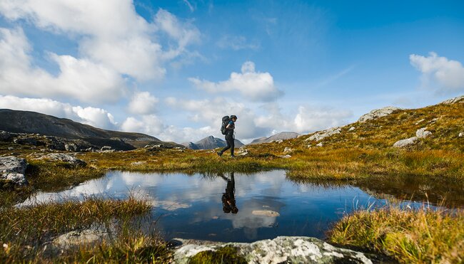 Schottland individuell - der Wolftrail