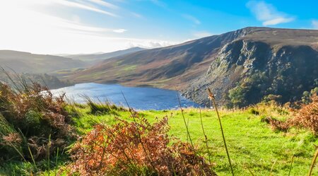 Irland - die Wicklows gemütlich erwandern