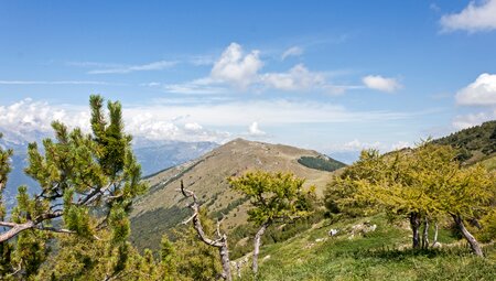 Monte Bondone kulinarisch