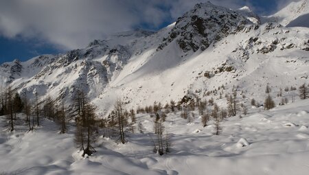 Berge. Sonne & Genuss: Schneeschuhwandern im Nationalpark Stilfserjoch