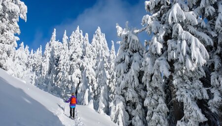 Berge, Sonne & Genuss: Schneeschuhwandern im Nationalpark Stilfserjoch