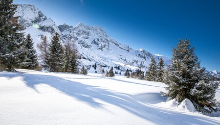 Berge. Sonne & Genuss: Schneeschuhwandern im Nationalpark Stilfserjoch