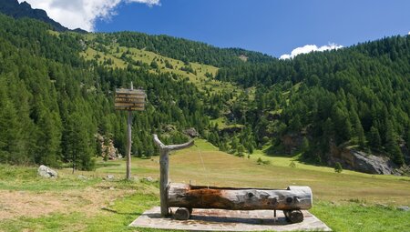 Nationalpark Stilfserjoch naturnah entdecken - Sonnenseite der Alpen