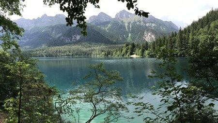 Nationalpark Stilfserjoch naturnah entdecken - Sonnenseite der Alpen