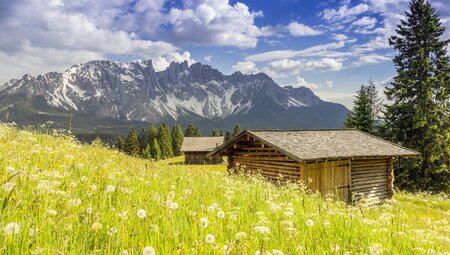 Nationalpark Stilfserjoch naturnah entdecken - Sonnenseite der Alpen