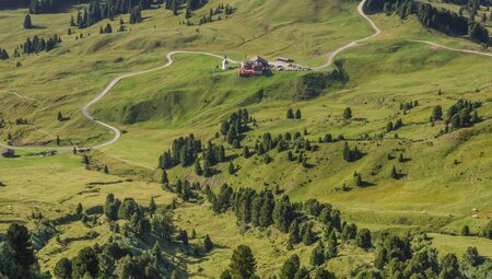 Südtirol - die Seiser Alm gemütlich erwandern